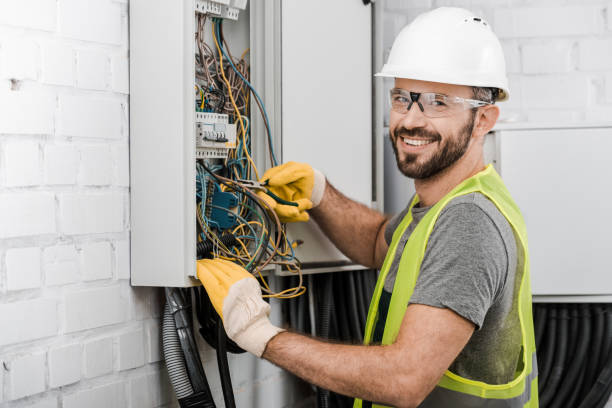 Best Affordable Electrician  in Spring Grove, IL
