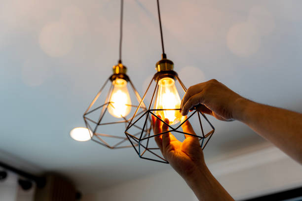 Best Electrician Near Me  in Spring Grove, IL