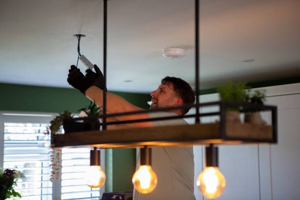 Best Emergency Electrician Near Me  in Spring Grove, IL