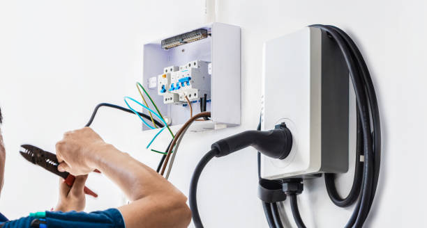 Best Home Electrical Repair  in Spring Grove, IL