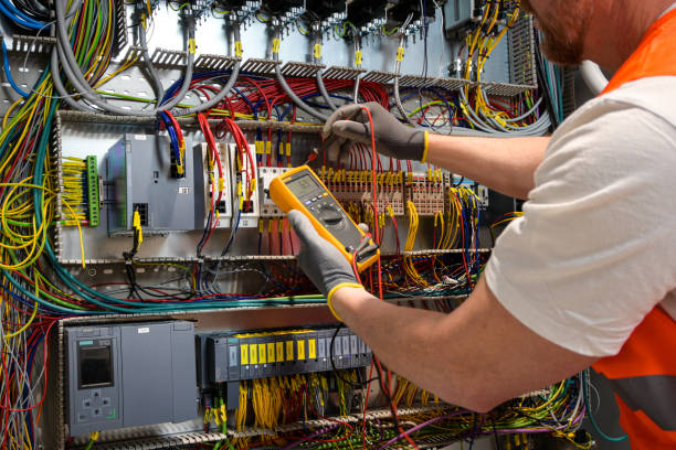 Best Residential Electrician Services  in Spring Grove, IL